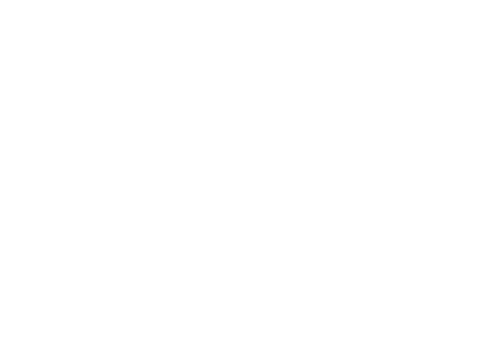 Lena Frisk